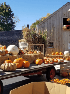Appleland Orchard Appleland Orchard