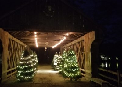 Christmas Tree Trail in Old Sturbridge Village - included in the Christmas by Candlelight at Old Sturbridge Village Tour.