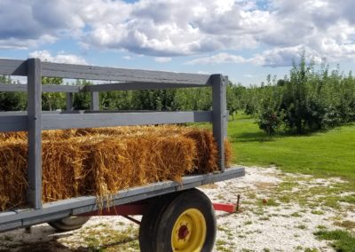 Hay stack on a truck at the Sweet Berry Farm - a destination included in the Come Away to the Quiet Coast Tour.