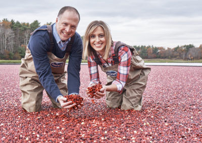 View of sea-like harvested Cranberries - included in the Plimoth Plantation & Cranberry Harvest Tour.