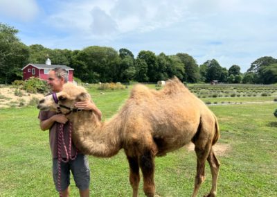 Man embracing a camel at the Lavender Waves Farm - an experience included in the Scenic Rhode Island Tour.