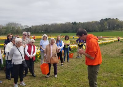 Group of tourists listening to the tour guide at the Wicked Tulips, Exeter, RI.