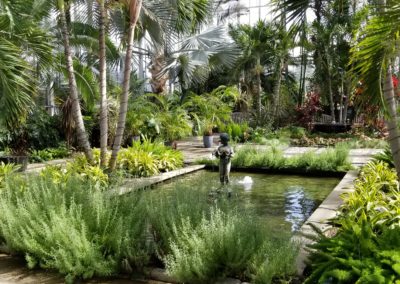 A rectangular pond surrounded by exotic plant inside the Roger Williams Botanical Center located in the Roger Williams Park.