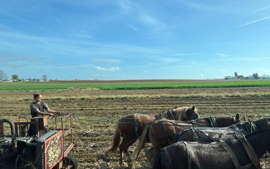 Amish Country