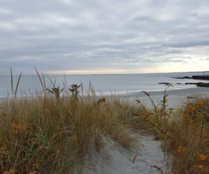 Newport - Rhode Island's Spectacular City by the Sea 92