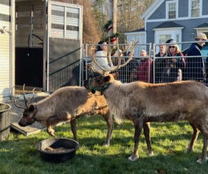 Christmas in Kennebunkport