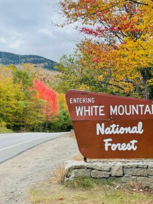 Colors of the Kancamagus 19