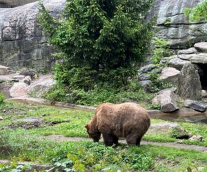 Bronx Zoo + NY Botanical Garden 26