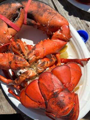 A Day on Martha's Vineyard 15