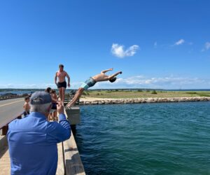 A Day on Martha's Vineyard 184