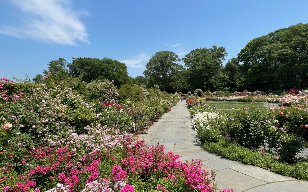 Bronx Zoo + New York Botanical Garden