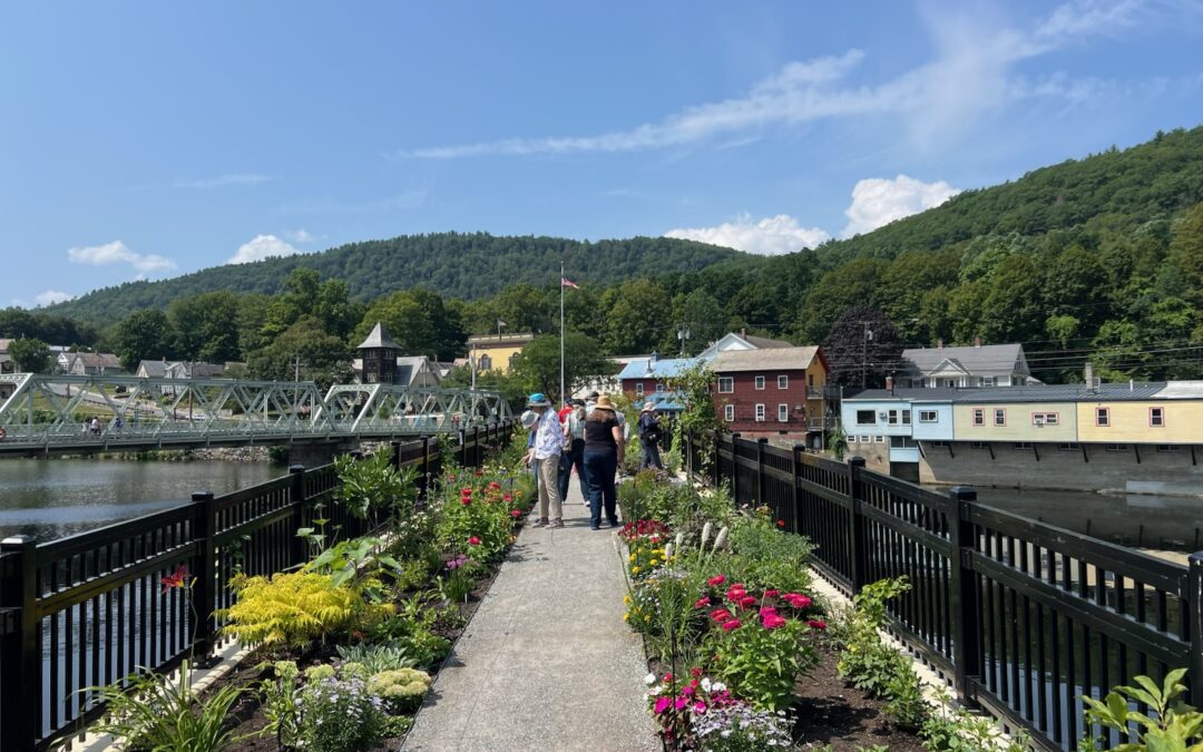 Bridge of Flowers + Magic Wings