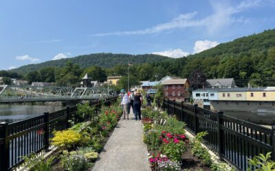 Bridge of Flowers + Magic Wings