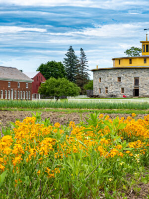 Beauty of the Berkshires 3