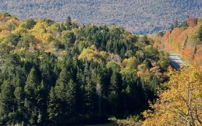 Autumn in the Green Mountains